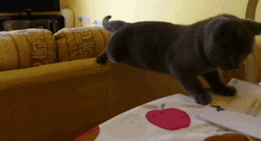 看污图时我的反应 灰常吃鸡的动态图