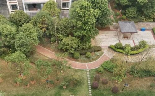 什么是容积率和绿化率