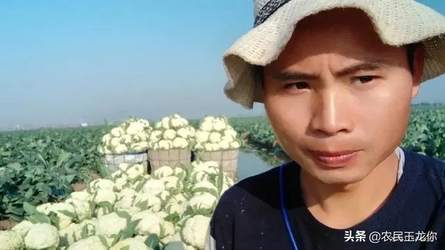 怎么用土法丈量不规则的田土面积？