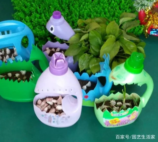 洗衣液瓶子做花盆制作方法图片