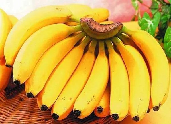 香蕉和芭蕉怎么区别？