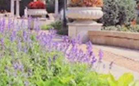 美啊，漳州的中山公园