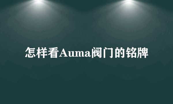 怎样看Auma阀门的铭牌