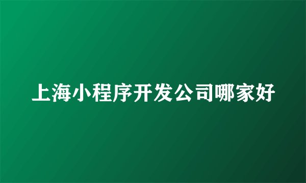 上海小程序开发公司哪家好