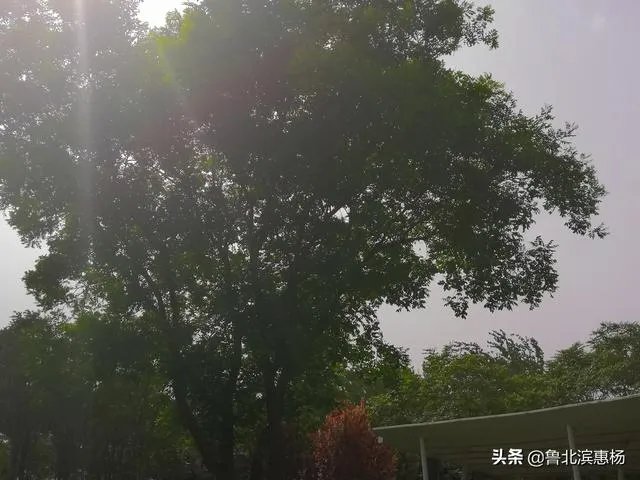 如何运营好一座古城？