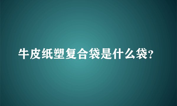 牛皮纸塑复合袋是什么袋？