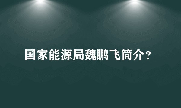 国家能源局魏鹏飞筒介？
