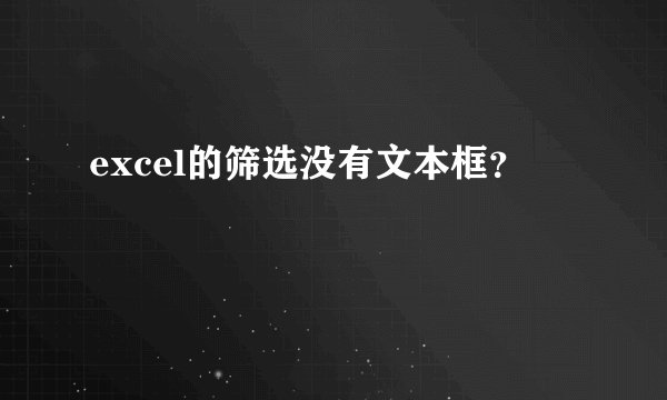 excel的筛选没有文本框？