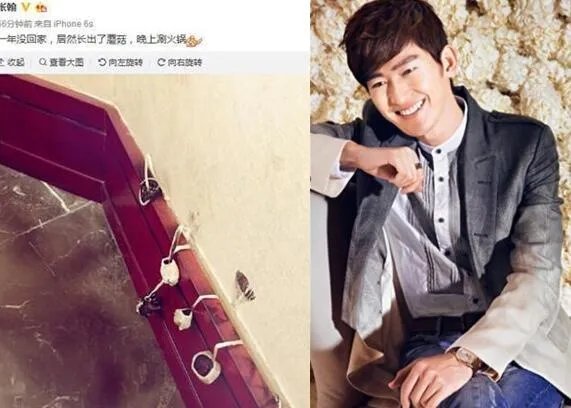 张翰家门长蘑菇惊呆众人 自我调侃可以涮火锅吃了