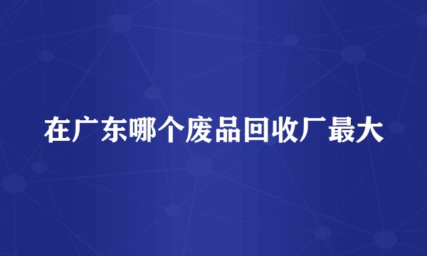 在广东哪个废品回收厂最大