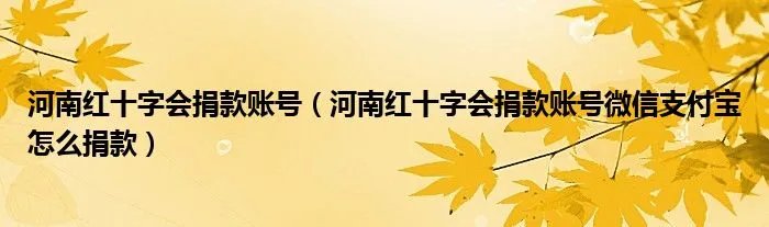河南红十字会捐款账号(河南红十字会捐款账号微信支付宝怎么捐款)