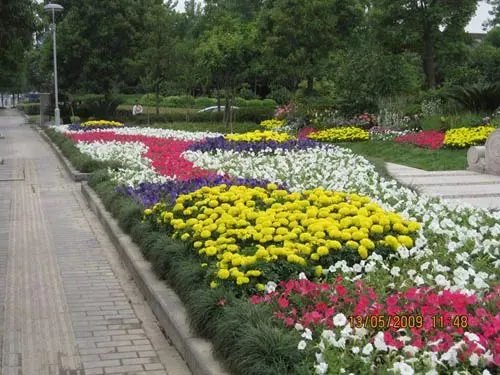 原创:花境按植物材料的分类及各自优缺点