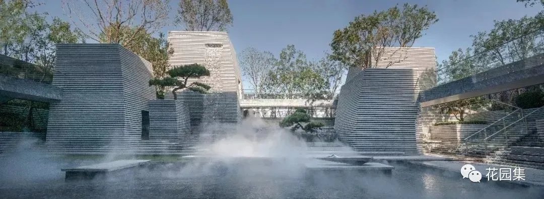 造型松，无奇不自由！气质庭院必备元素