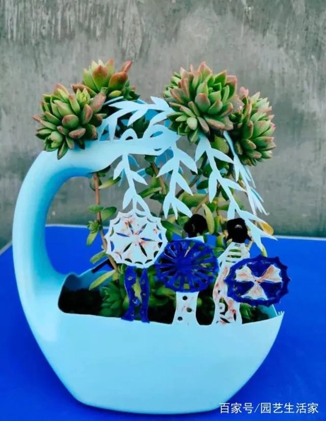 洗衣液瓶子做花盆制作方法图片