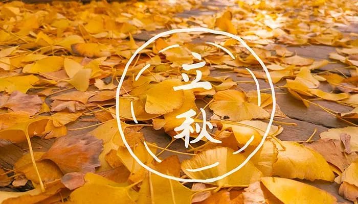 形容立秋的唯美句子