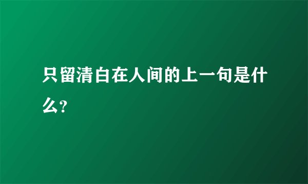 只留清白在人间的上一句是什么？