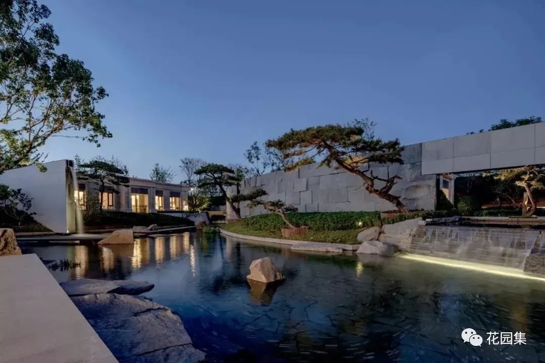 造型松，无奇不自由！气质庭院必备元素