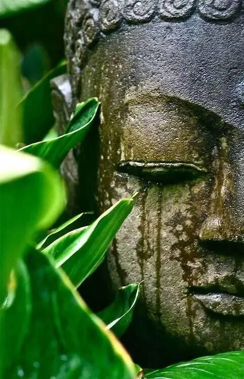 女子打车忘付钱，遭滴滴司机辱骂，对此你怎么看？顾客遇到这种问题该怎么办？