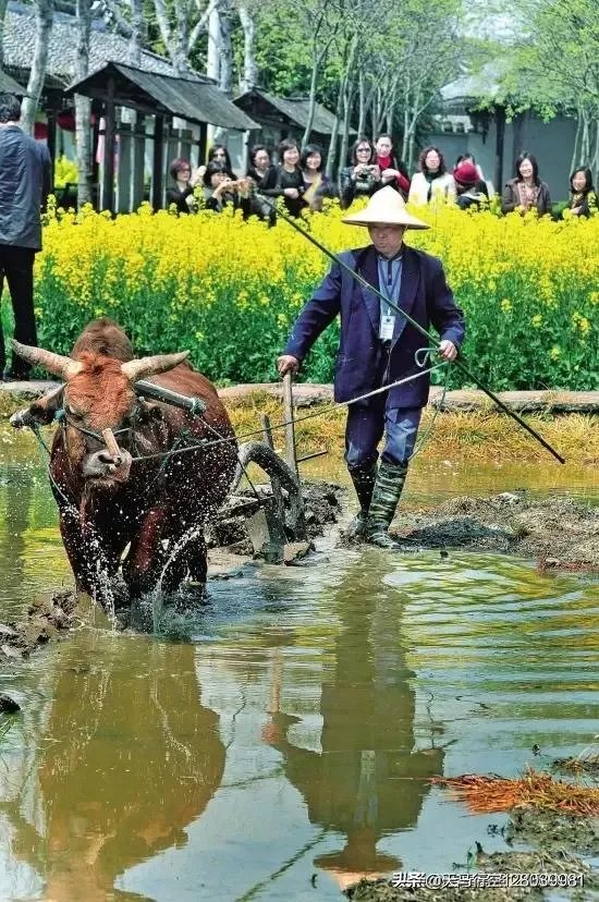 诗句“春宵一刻值千金”最初的本意是什么？是指洞房花烛夜吗？