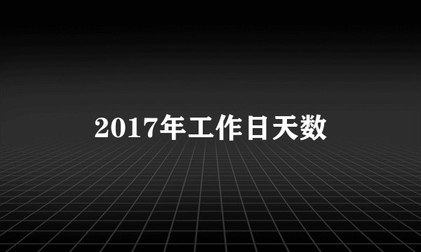 2017年工作日天数