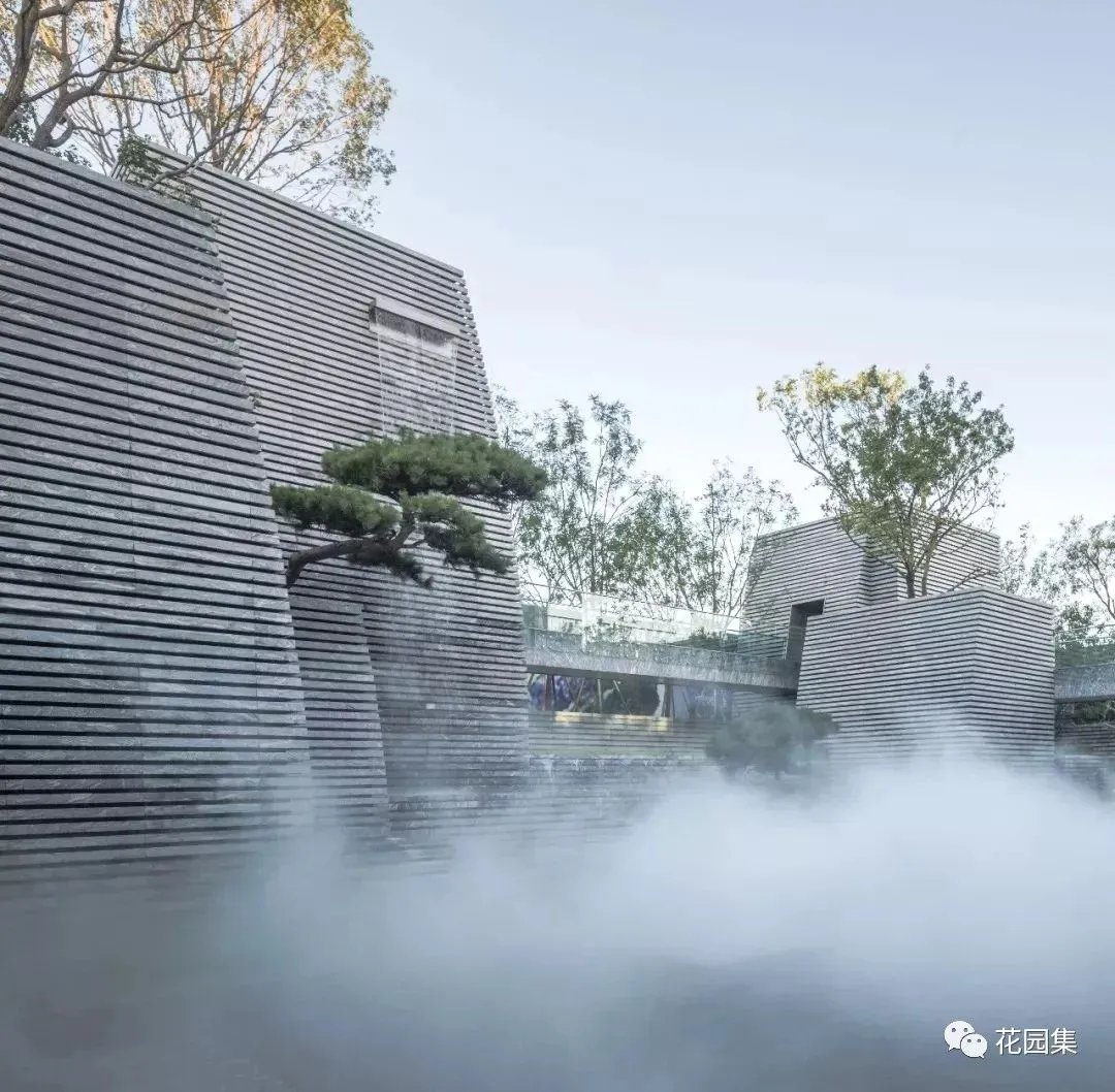 造型松，无奇不自由！气质庭院必备元素