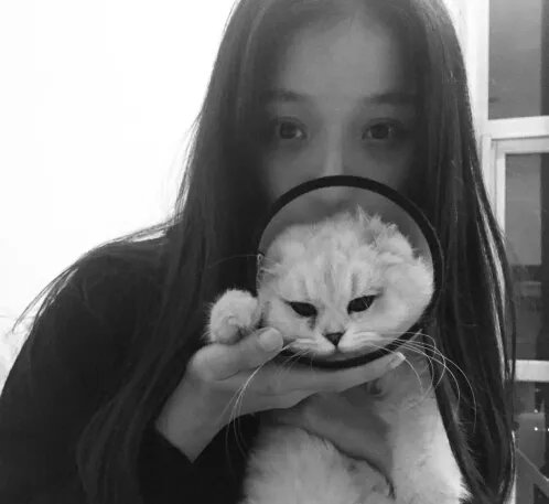 倪妮的猫萌煞众人 倪妮大学男友身份曝光