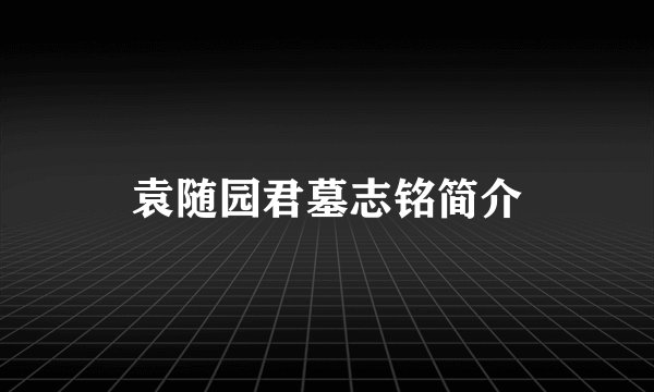 袁随园君墓志铭简介