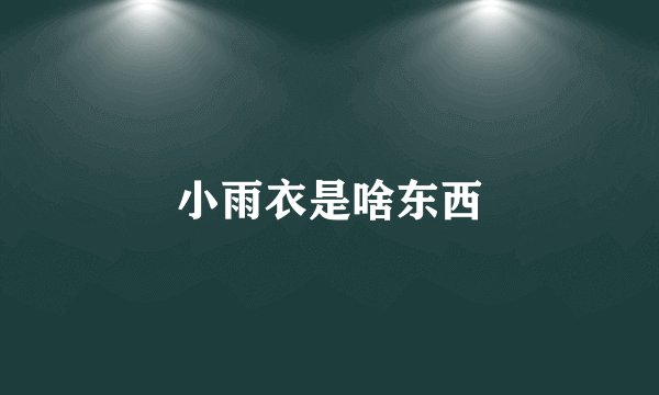 小雨衣是啥东西
