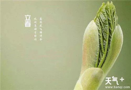 2019年什么时间迎春，什么时间立春