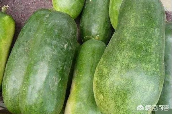 山东省辞退的代课教师可以把社保补交到代课时候吗？