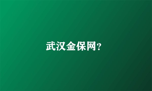 武汉金保网？