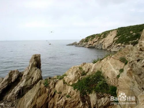 菊花岛旅游攻略