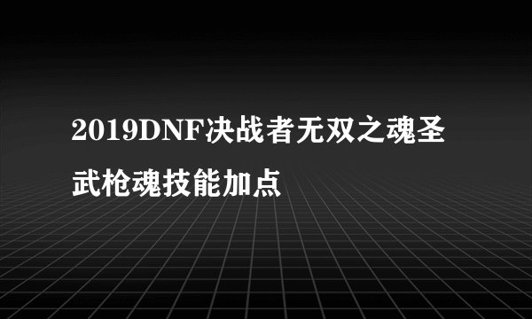 2019DNF决战者无双之魂圣武枪魂技能加点