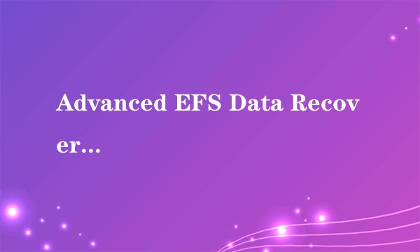Advanced EFS Data Recovery 4.0 注册码