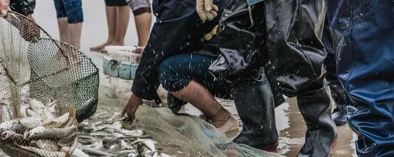 渔网有哪几种 渔网用什么材料制作的