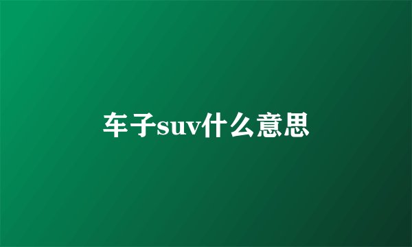 车子suv什么意思