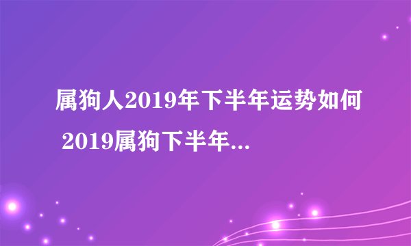 属狗人2019年下半年运势如何 2019属狗下半年运势全解析（最新版）