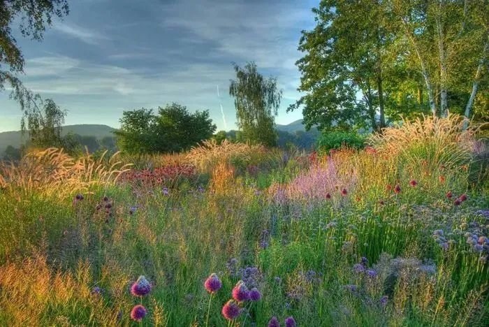 原创:花境按植物材料的分类及各自优缺点