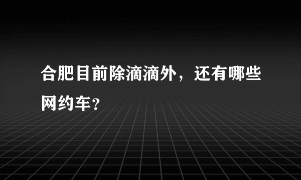 合肥目前除滴滴外，还有哪些网约车？