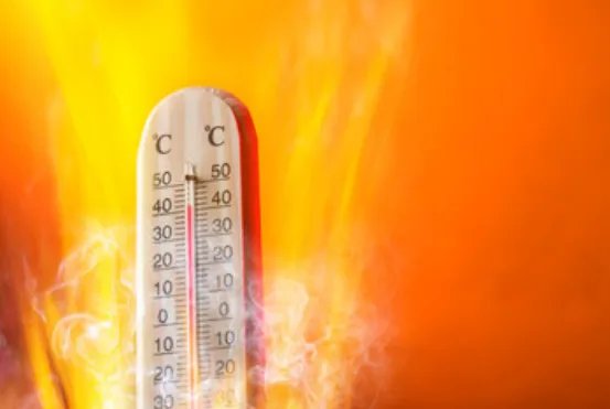 2019三伏天时间表图片 2019三伏天共有多少天