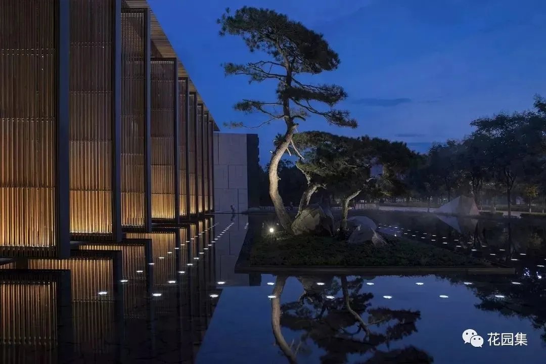 造型松，无奇不自由！气质庭院必备元素