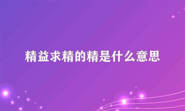 精益求精的精是什么意思