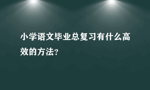 小学语文毕业总复习有什么高效的方法？