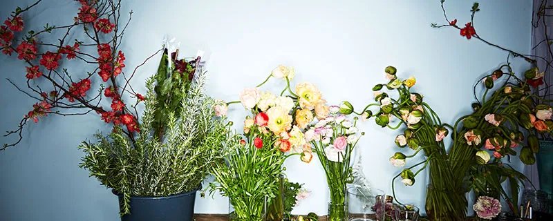 520朋友圈怎么发说说