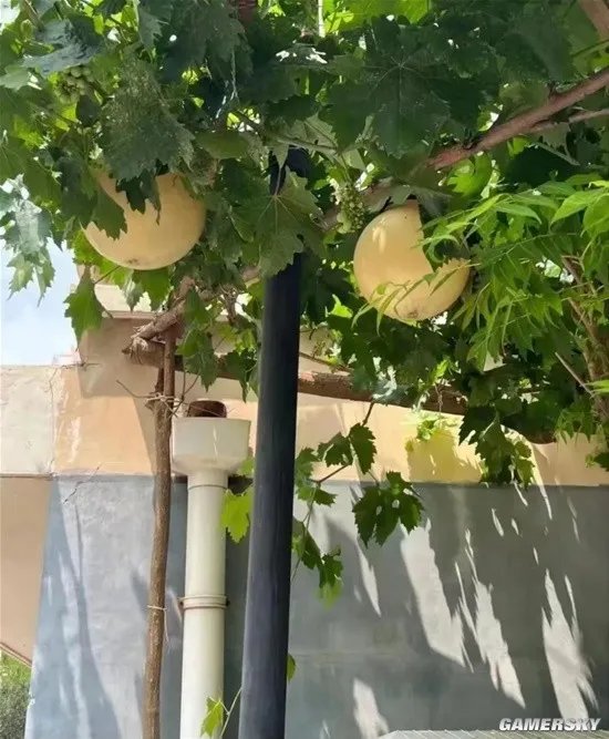 一图概括网络上90%的大长腿 字母了就不分手的囧图