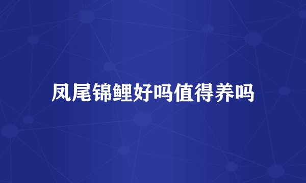 凤尾锦鲤好吗值得养吗