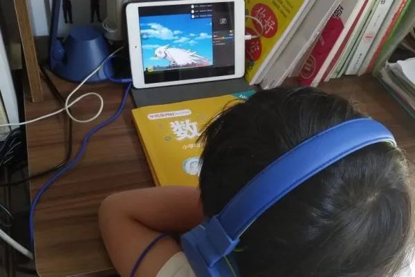 多地明确延迟开学时间可用暑假补齐,那为何学校要求学生在家还要上网课?