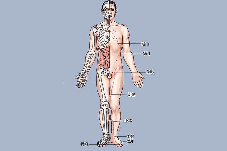 膝盖周围的经络图