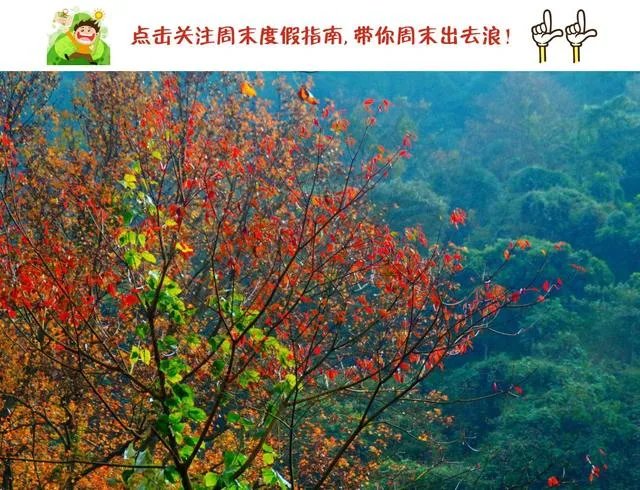 广东省从化市石门国家森林公园好玩吗？从广州市区怎么去？