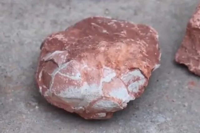 江西工地挖出6600万年前恐龙蛋化石，究竟长什么样？